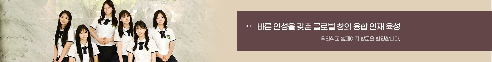 S_visual.png
