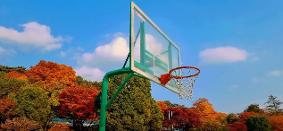 남한산초등학교의 가을  